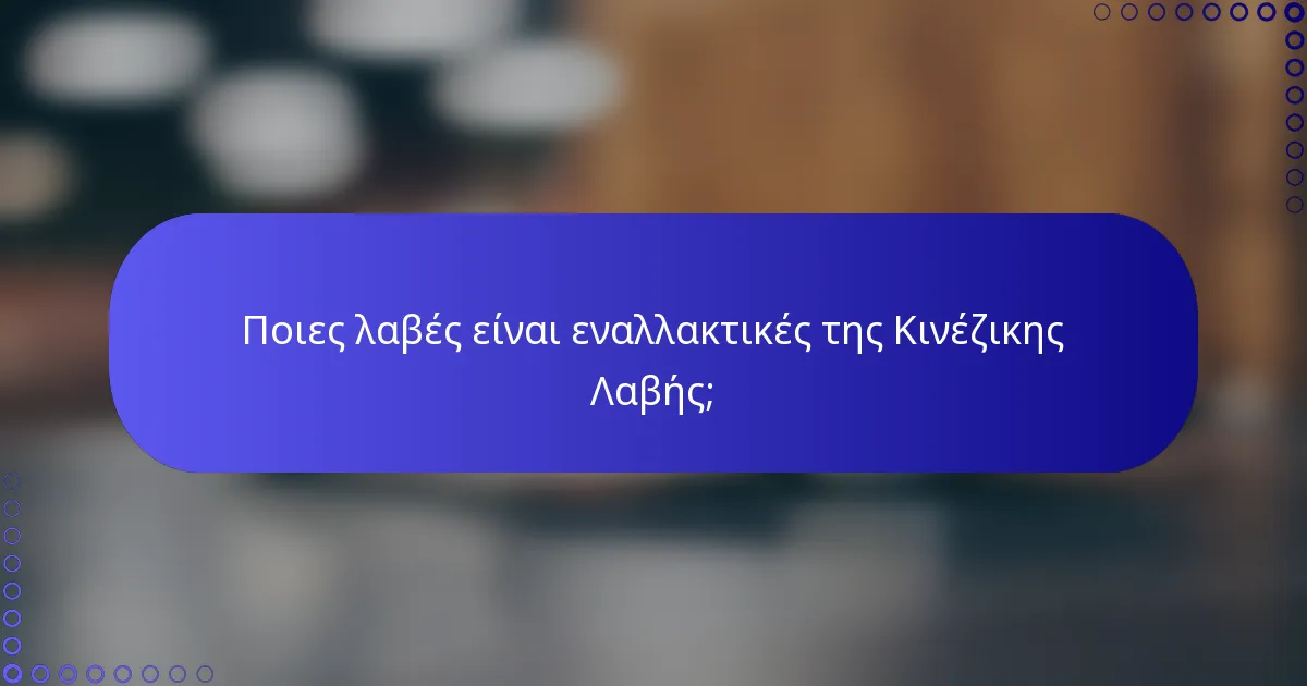 Ποιες λαβές είναι εναλλακτικές της Κινέζικης Λαβής;