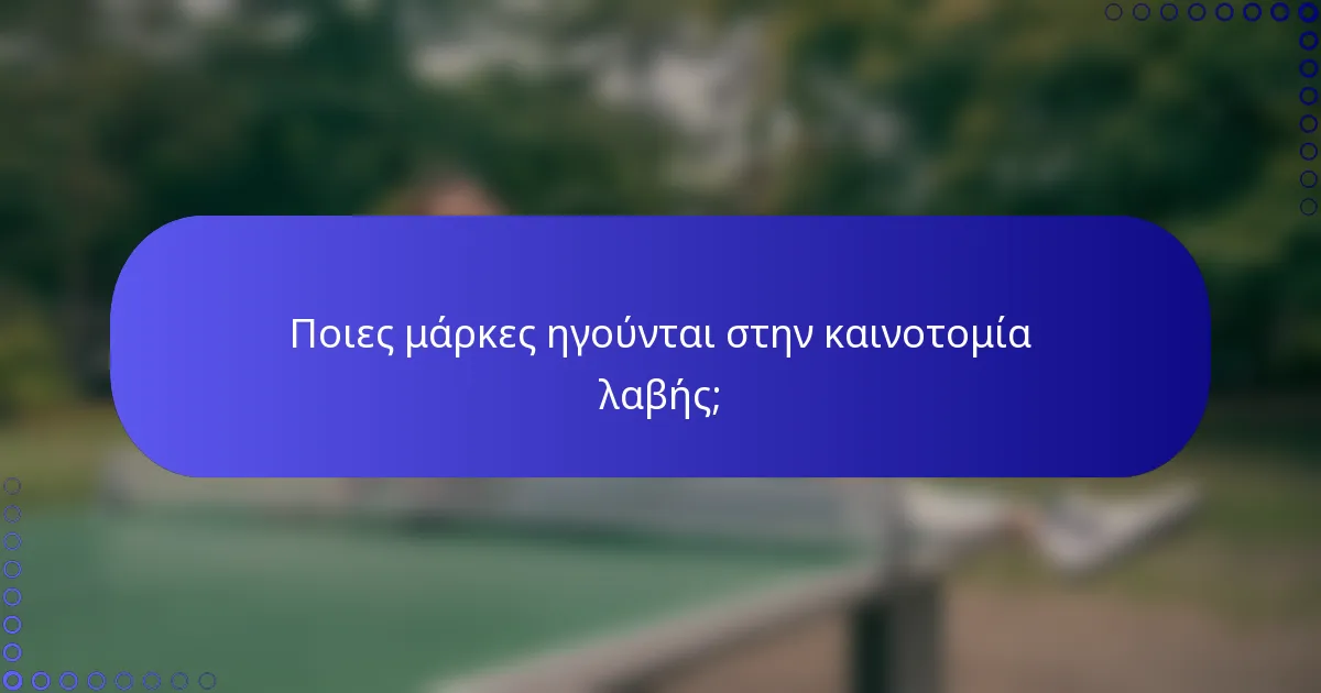 Ποιες μάρκες ηγούνται στην καινοτομία λαβής;